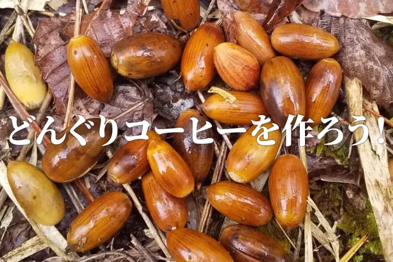 どんぐりコーヒー